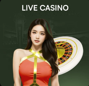 04月04日 德甲第28轮 霍芬海姆vs美因茨 全场录像回放